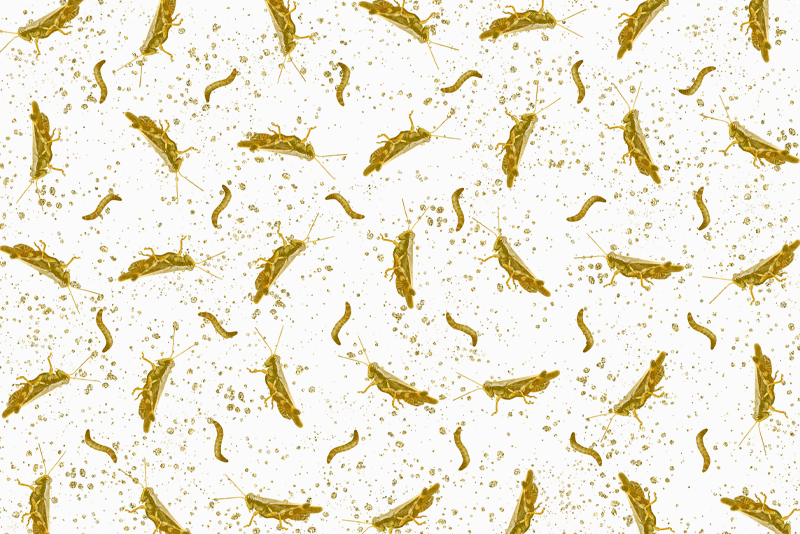 Pattern - &copy; Olivia Verlut