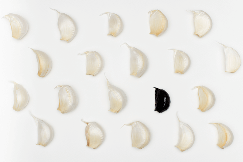 Naturel - Photographies - &copy; Olivia Verlut - Design Graphique