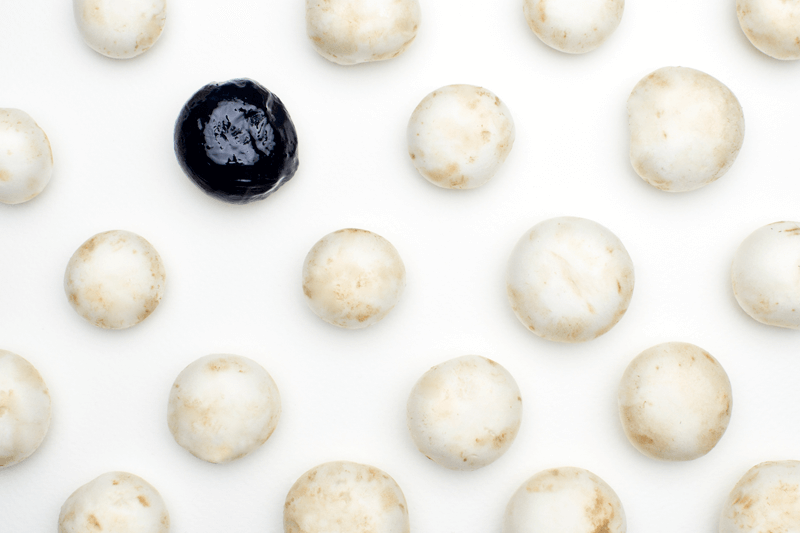 Naturel - Photographies - &copy; Olivia Verlut - Design Graphique