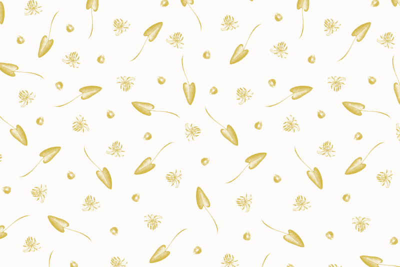 Wize - Motif - &copy; Olivia Verlut